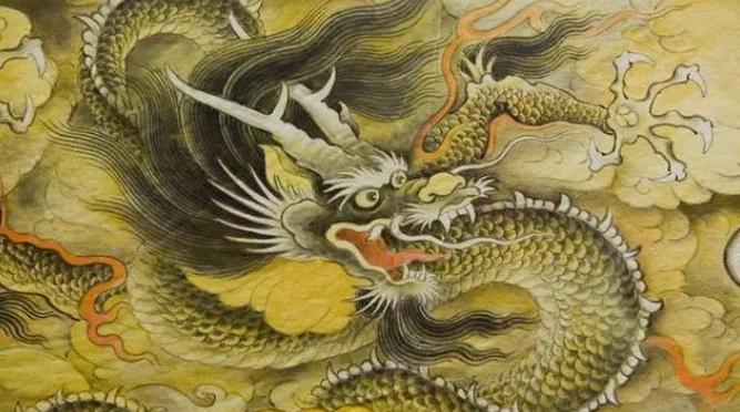 什么生肖爱管闲事，全面解析与落实