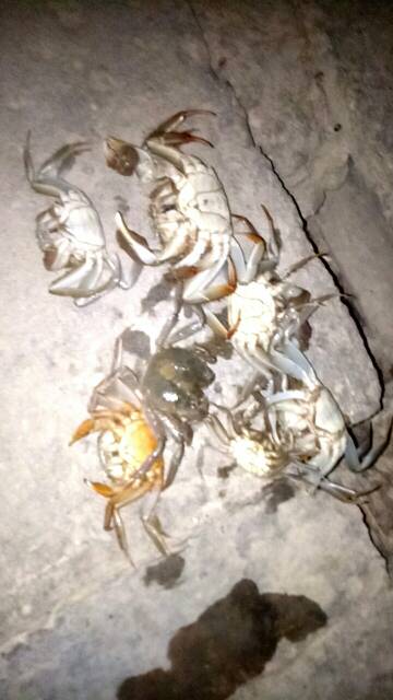 奈何桥头是指什么生肖?全面揭晓解释落实