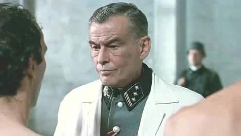 谜语解析，风尘绝色猜一动物