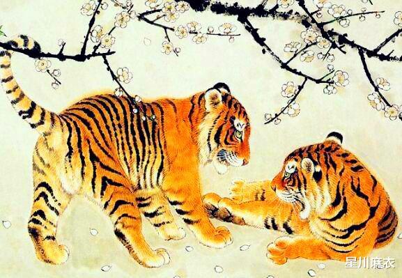 德高望尊的生肖，非凡解释与落实