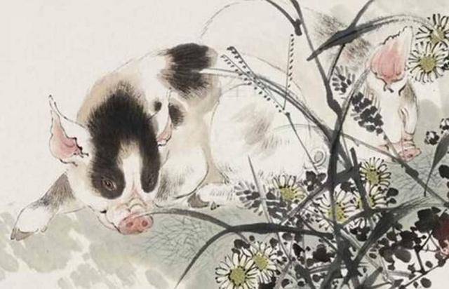 娓娓动听，揭秘生肖中的倾听者—兔