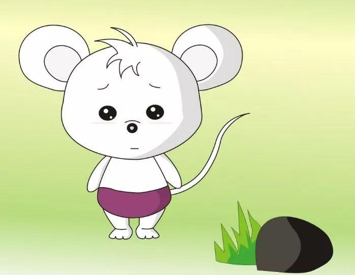 四季轮回，生肖与时间的奇妙对话