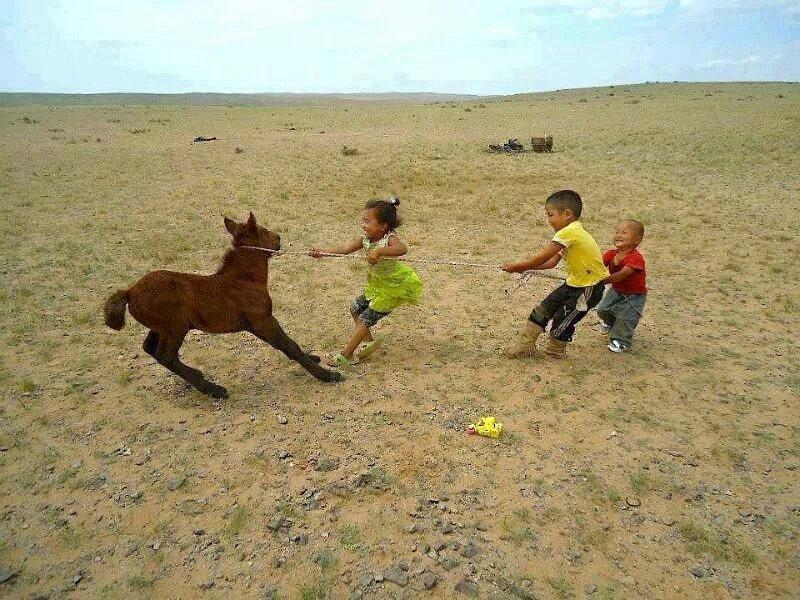 蛇为何惧螳螂，一场自然界的智慧较量