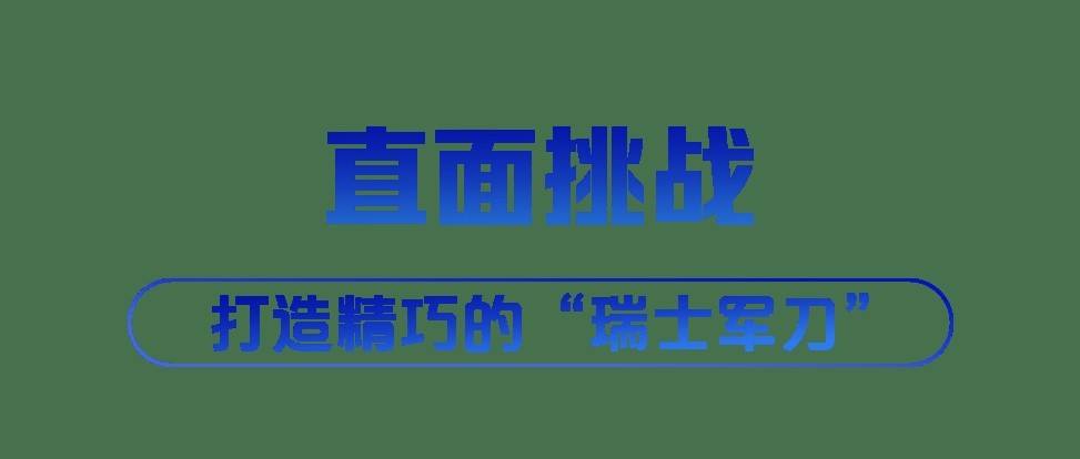人面桃花打一生肖，佩服作答落实解释