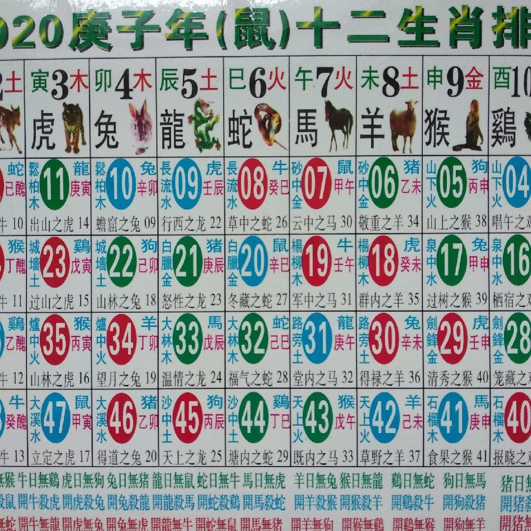 昨晚出什么生肖，背后的坚韧与不屈