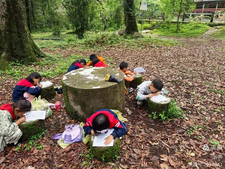 强者反已猜一动物，探寻自然界的奥秘与智慧