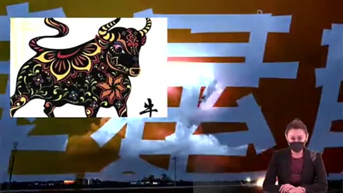 揭秘热火朝天背后的生肖奥秘，一探究竟的趣味之旅