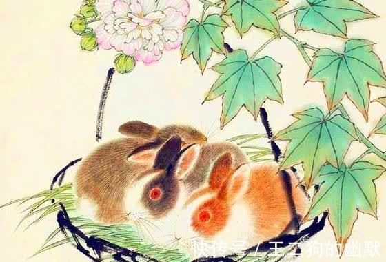 追名逐利是什么生肖，能人解释与现代生活的落实