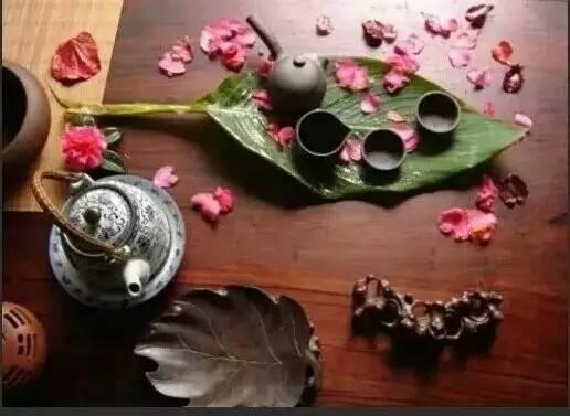 探寻生肖之谜，揭秘众生所归欢欢喜背后的奥秘