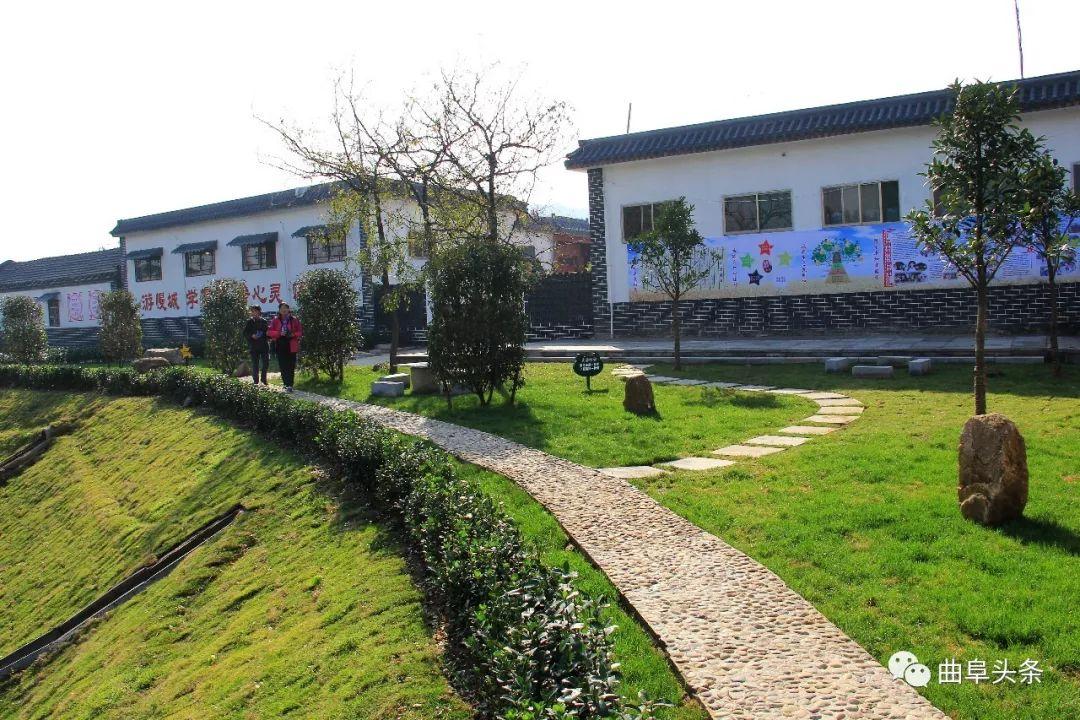 百折不挠猜一动物，马上为你揭晓落实