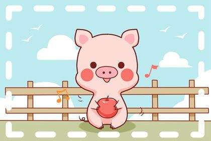 今日生肖属猪运势速递，把握机遇，稳健前行