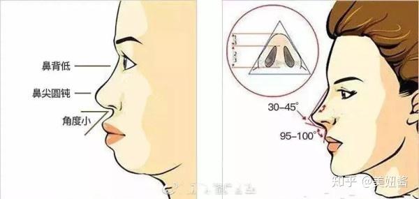 鼻蹋嘴歪打一生肖，友爱作答落实解释