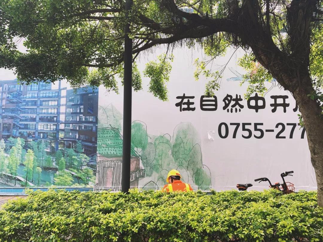 南方生肖文化探秘，真相与解释的深度落实