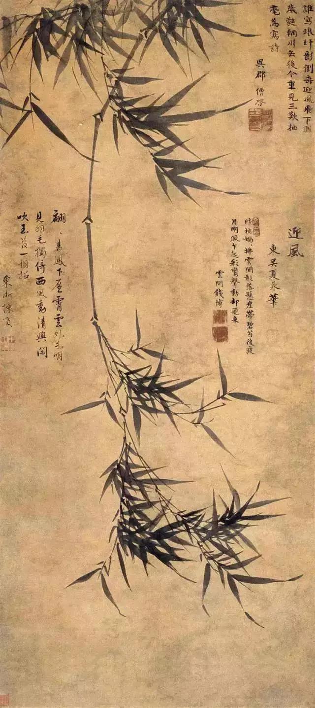 爱拍马屁，生肖背后的文化解读与智慧启示