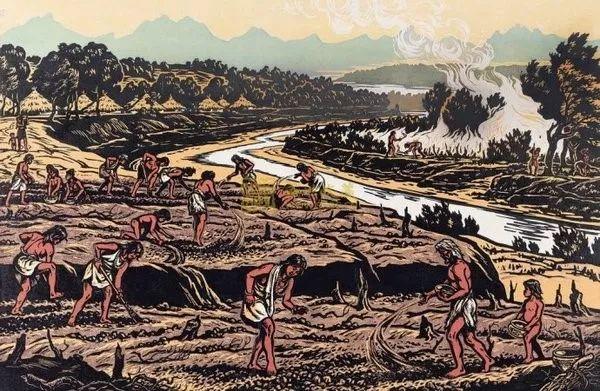 安土重迁，解读这一成语背后的生肖寓意与现代启示