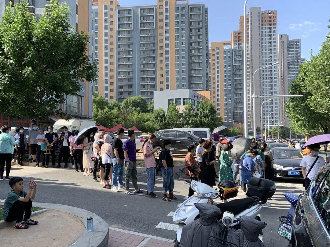 烈日当空猜一动物，揭秘与解读的奇妙旅程