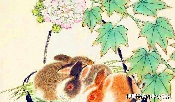 添枝加叶指的是什么生肖，揭秘背后的文化寓意