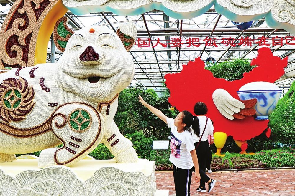 酸甜苦辣话生肖，时代变迁中的文化印记与落实