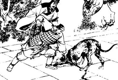 恶贯满盈是是指什么生肖，的不安分之选