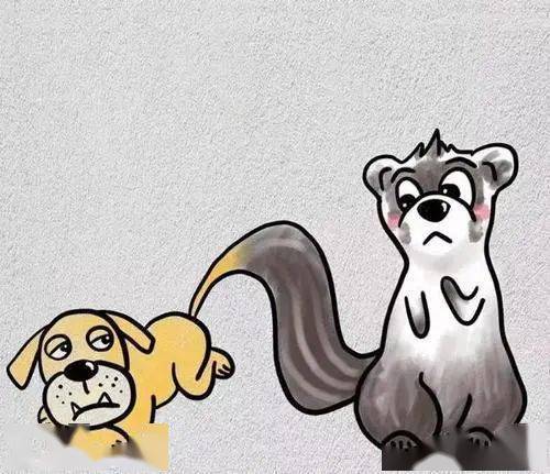 委曲求全猜一动物，解读背后的文化与智慧