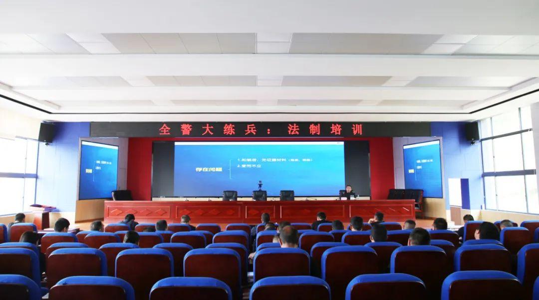 儿孙满堂是什么生肖，深度解析与落实