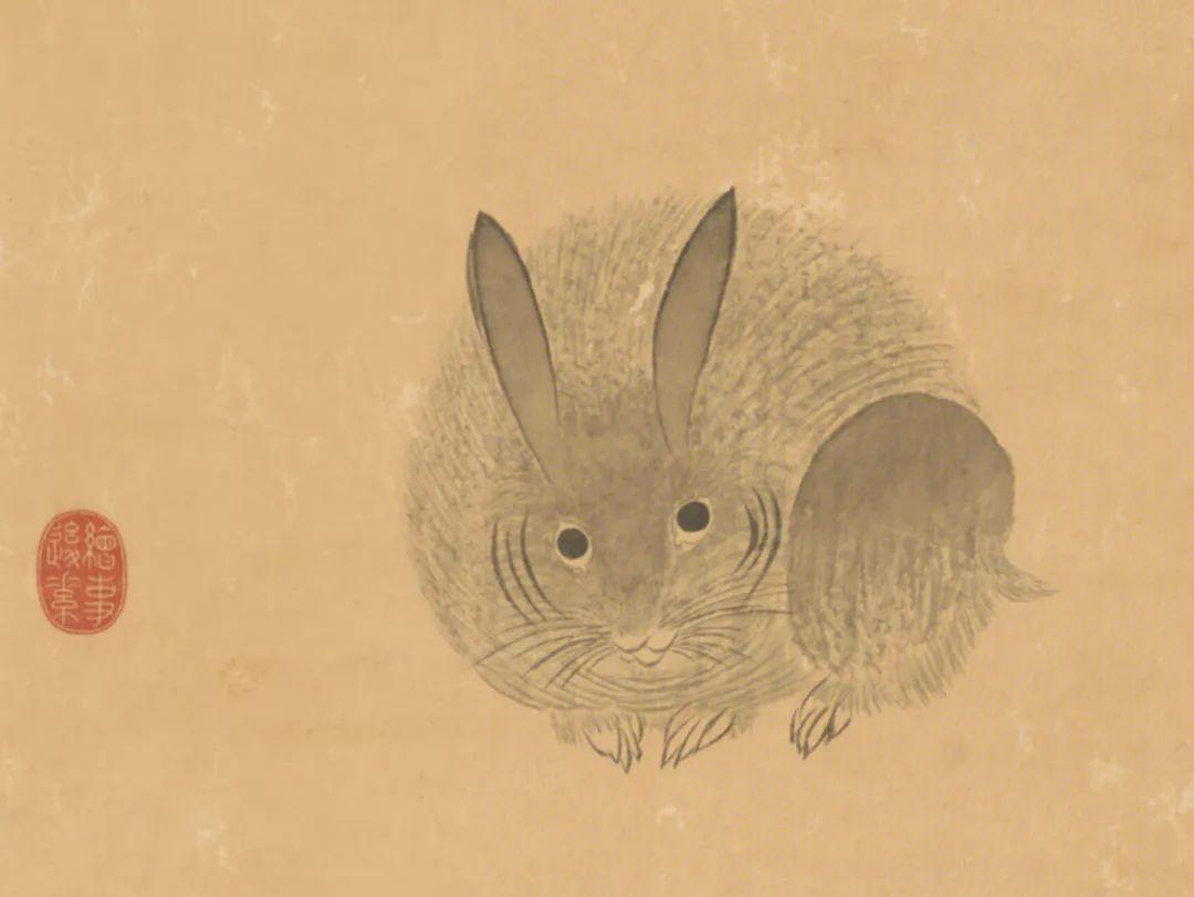 貌充充，属兔的智慧与成就