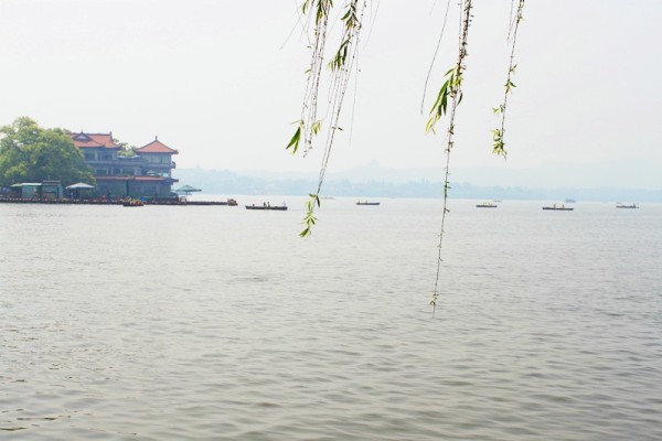 江水如蓝一片绿猜一生肖，词语的深层释义与文化解读