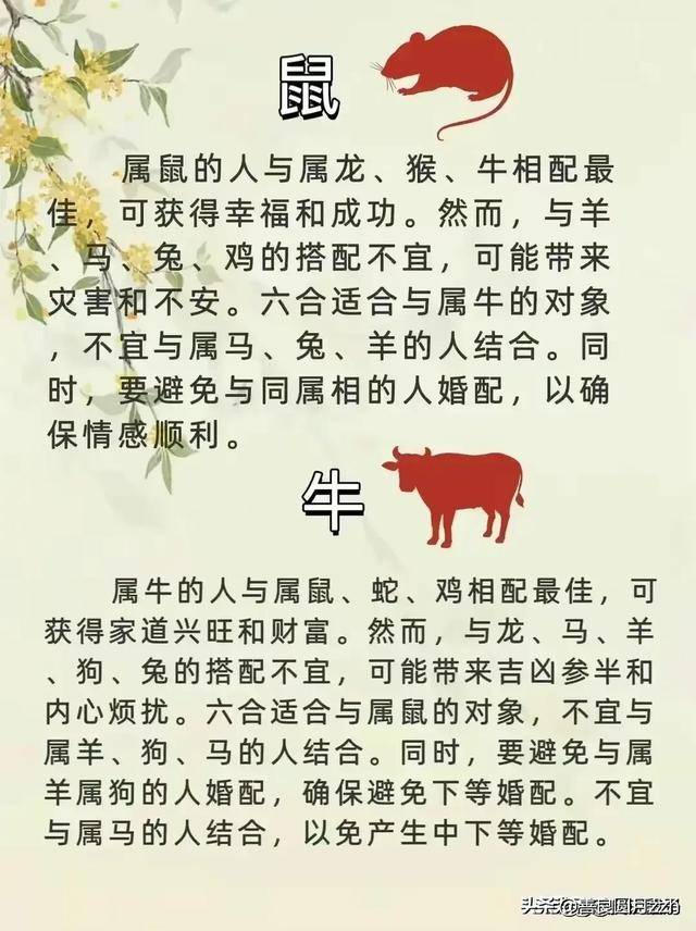 亲密无间打一正确生肖，谁来落实解答？