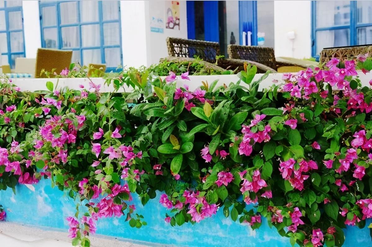 江东日暮云青山，生肖之谜与现代生活的诗意融合