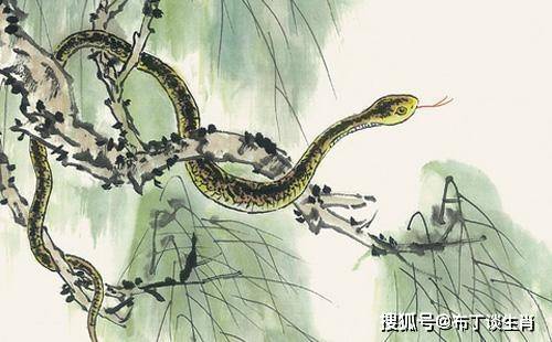 山光水色二二四打一正确生肖，最新解释与落实