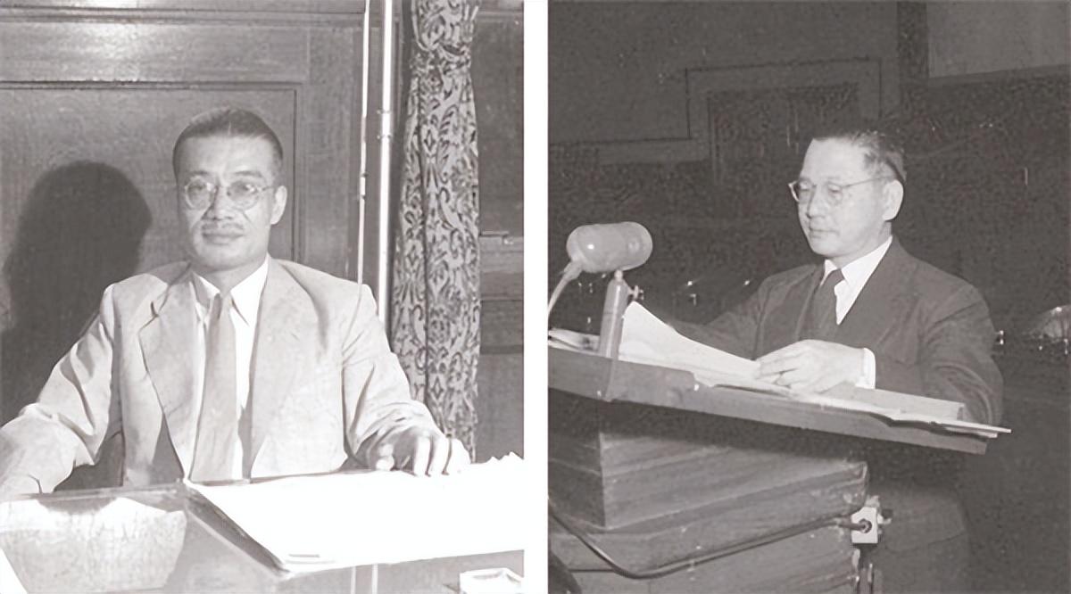 能言善辩的生肖，属蛇人的言辞艺术与落实能力