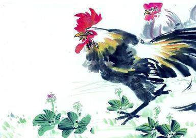 旭日东升有喜气是指什么生肖，重点诠释解释落实