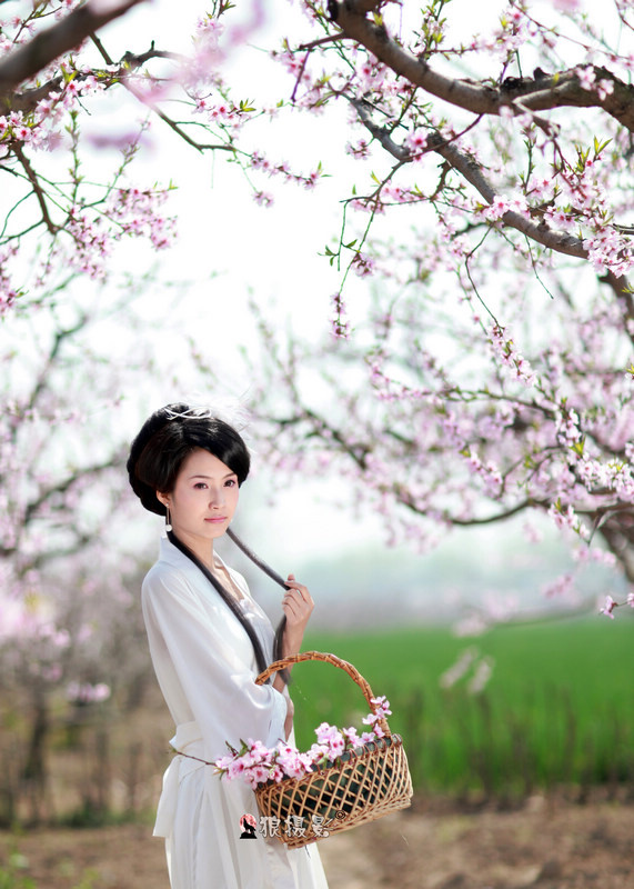 探秘人面桃花之谜，生肖解析与文化寓意