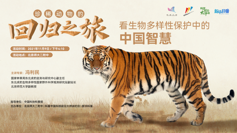 螳臂挡车，揭秘背后的生肖动物与智慧寓意