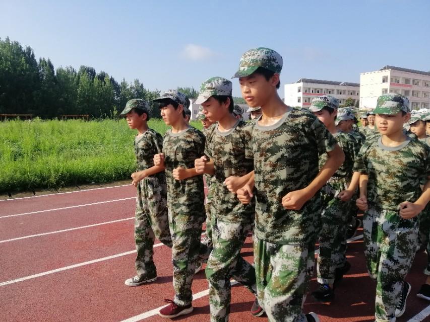 烈日当空猜一动物，揭秘与解读的奇妙旅程