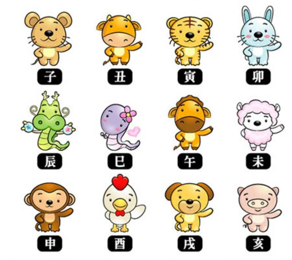 万无一失保平安，生肖中的智慧与友爱
