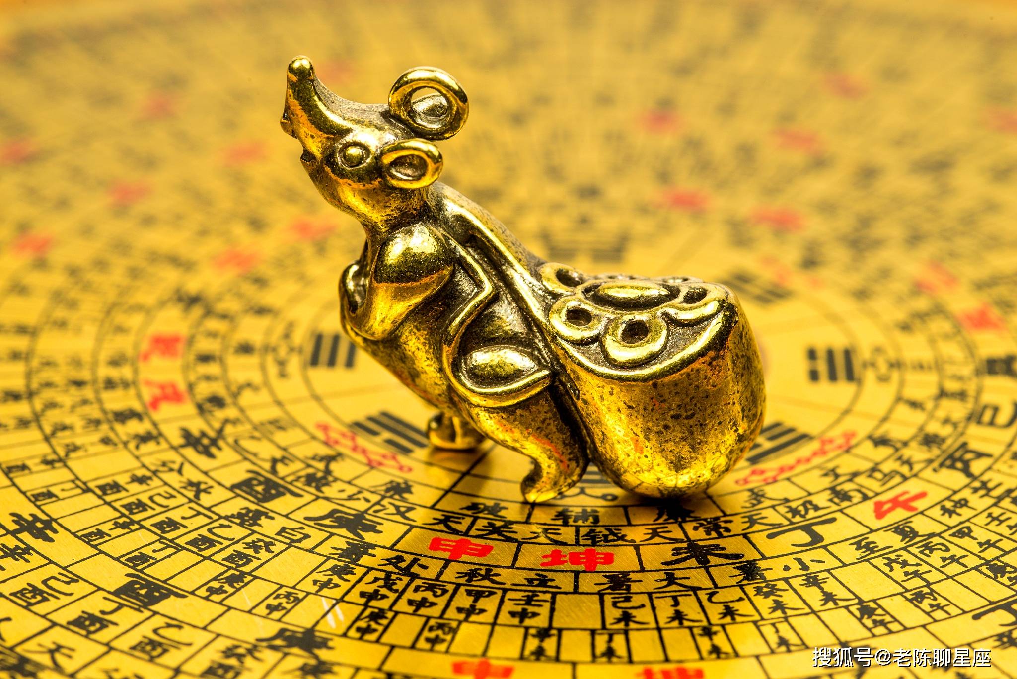 揭秘金生什么猜一动物的谜底，探寻生肖与财富的奥秘