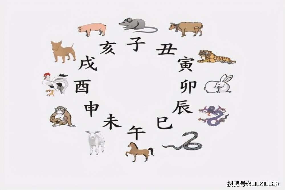 帮狗吃食猜一生肖，文化寓言与生肖之谜的深层解读