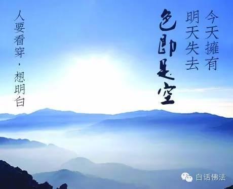 四大皆空悟禅机，猜一动物背后的智慧与哲理