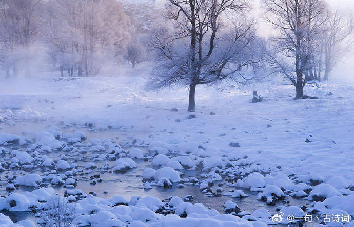 谜团揭晓，胡天八月即飞雪与生肖的神秘联系