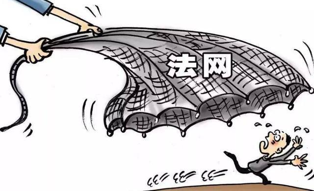 天网恢恢猜一动物，采民作答落实解释