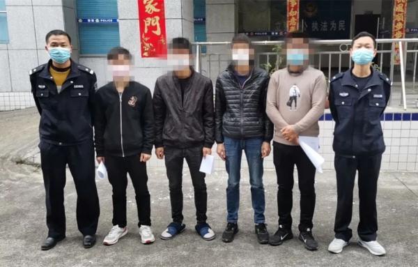 钻角尖，专打二数猜一动物，深度解析与智慧选择