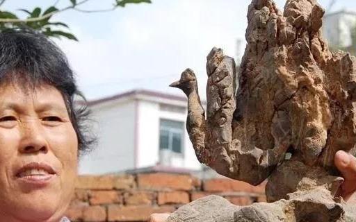 拒人于千里之外的生肖，生肖蛇的独特魅力与社交距离