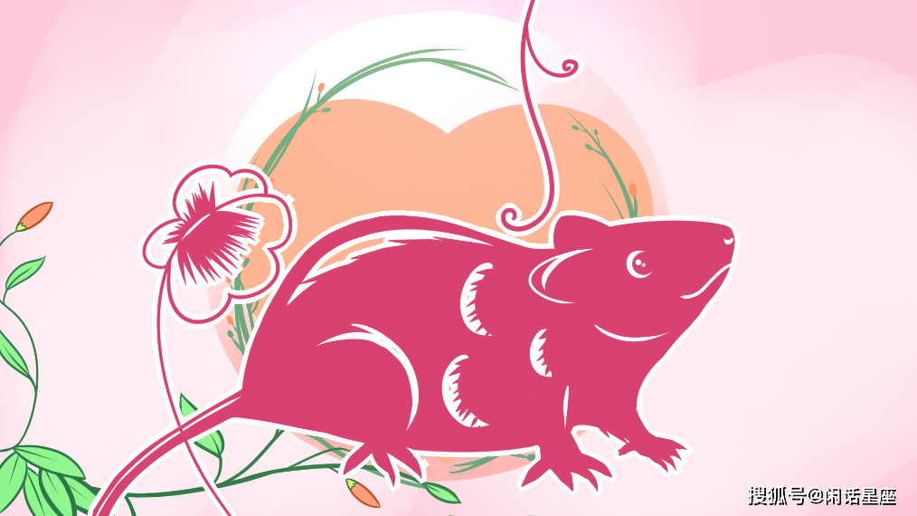 足智多谋的生肖，生肖鼠的深度解析与现实应用