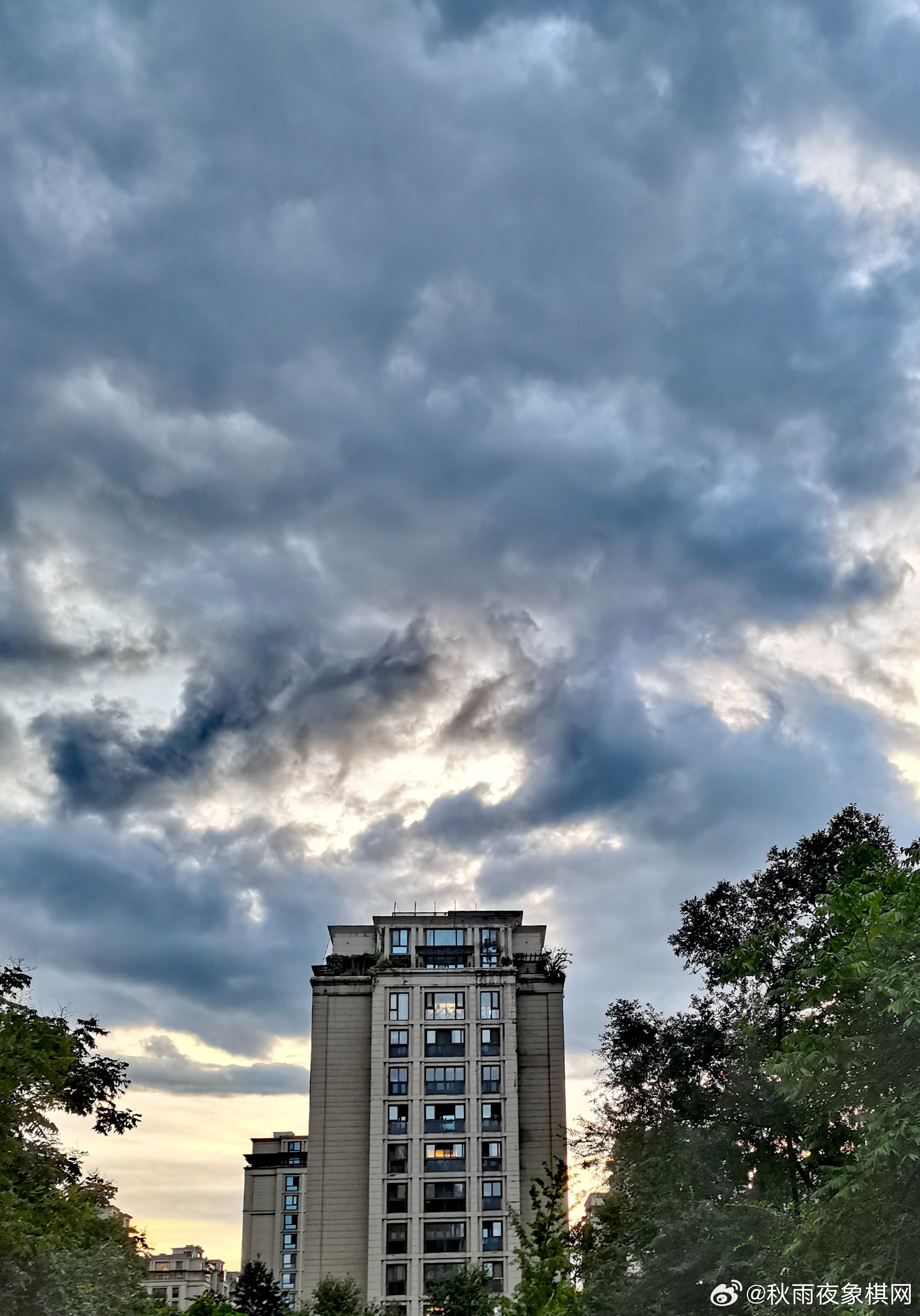 云散云聚，生肖之鼠的智慧与战略运用