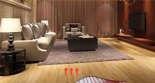 阳光照耀大地暖打一正确生肖，真相解释落实