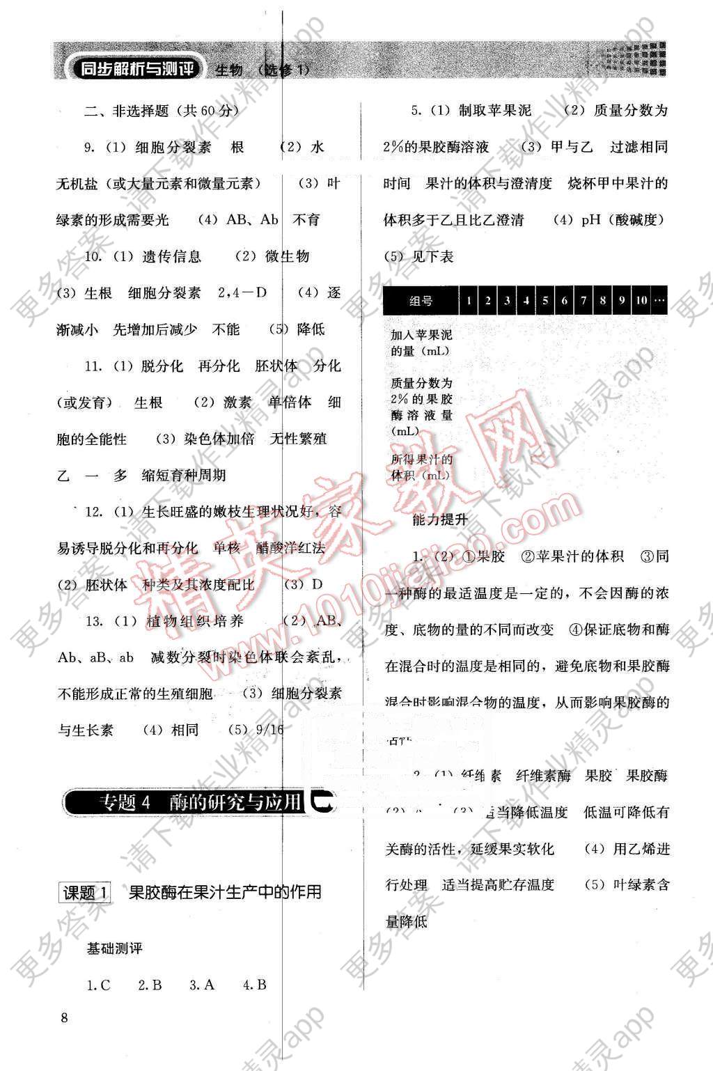 以旧换新，生肖之谜的定量解析与文化实践