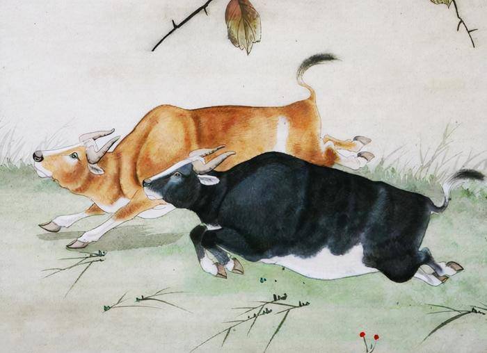 锲而不舍打一生肖动物，详细作答落实解释