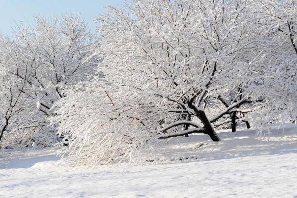 六月飞霜,揭秘背后的文化寓意与生肖之谜 六月飞霜,揭秘背后的文化寓意与生肖之谜