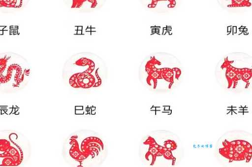 凹凸不平是什么生肖，通常作答落实解释